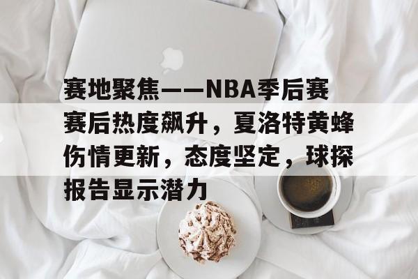 爱游戏多端接入-赛地聚焦——NBA季后赛赛后热度飙升，夏洛特黄蜂伤情更新，态度坚定，球探报告显示潜力的简单介绍